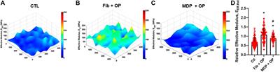 Oxo-M and 4-PPBP Delivery via Multi-Domain Peptide Hydrogel Toward Tendon Regeneration